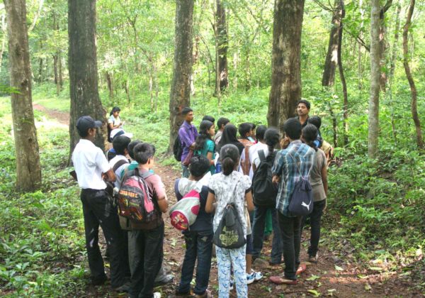Field Trips